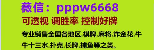 法官说，斯凯格内斯工地没有防火措施