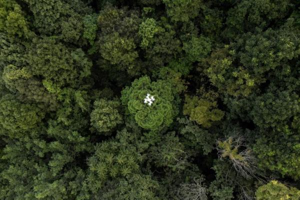 “不是世界末日”，数据科学家在重大问题上说